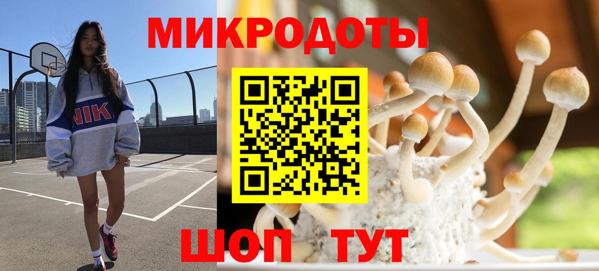 Псилоцибиновые грибы GOLDEN TEACHER  наркошоп  Заводоуковск  Вход с VPN 