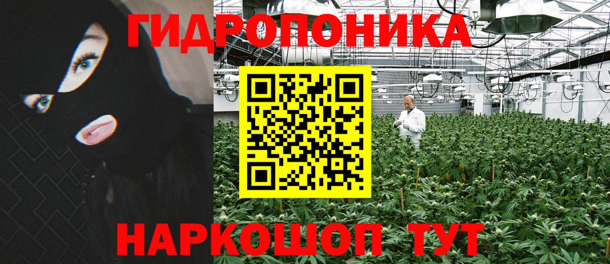 Марихуана тримм  МАРИХУАНА конопля  Вход с VPN  МАРИХУАНА планчик  Бошки Шишки Ganja  Заводоуковск 